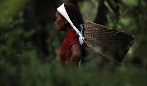 Image: woman farmer with basket on her back. Topic: Socially Responsible Mutual Funds That Empower Women